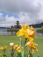 Bratan Bali